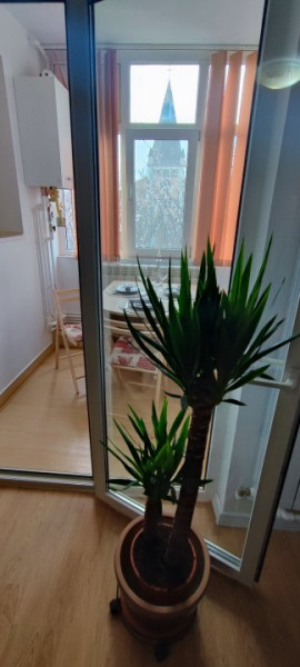 Inchiriere garsoniera City Park Mall termen lung 