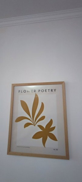 Inchiriere garsoniera City Park Mall termen lung 