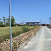 Vânzare Vila noua p+1 Ovidiu cu teren aferent 450 m. 