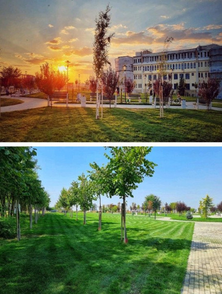 Dezvoltator Vanzare spatiu unicat Campus University Park