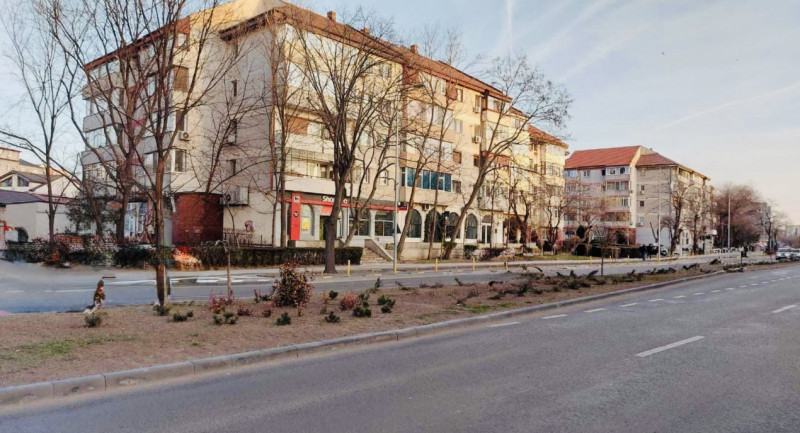 Exclusiv Spatiu pretabil orice VAV Delfinariu
