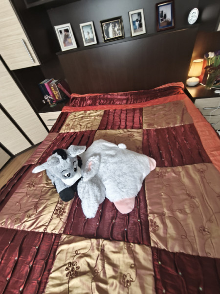 Vânzare Casa cocheta din bca in Năvodari cu toate dotarile