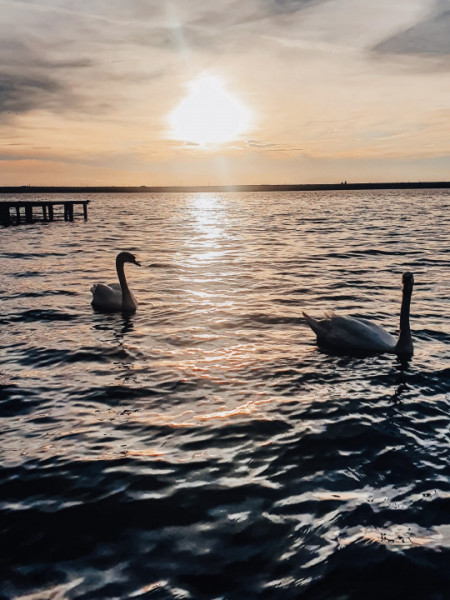  Închiriere Apartament – Bloc Nou, Vedere Frontală la Lac, Prima Închiriere