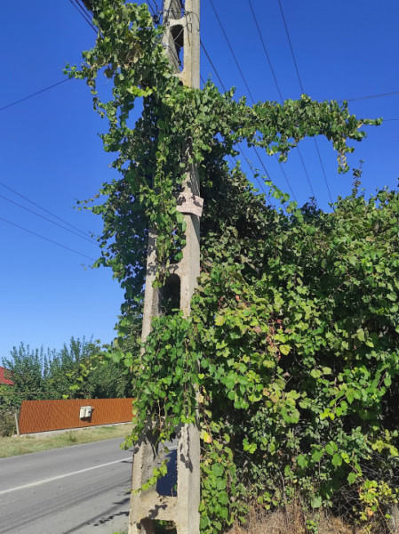 Vânzare Teren Intravilan 2.001 mp. cu utilități ~ Isaccea ~ Centru