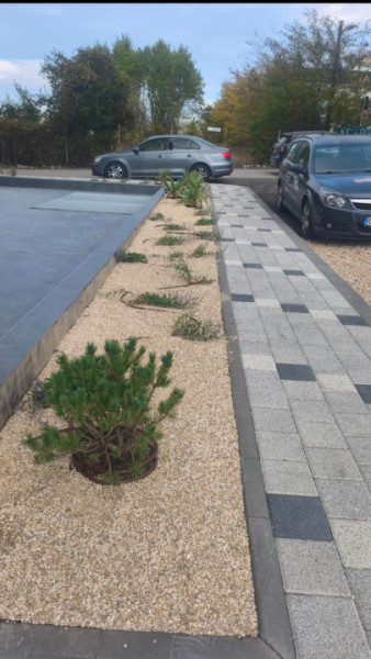 Vanzare Studio Unicat Universitate Campus 