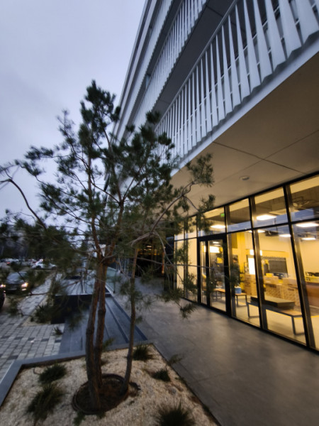 Vanzare Studio Unicat Universitate Campus 