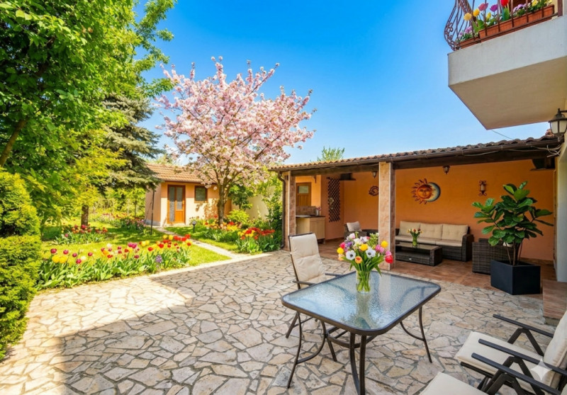 Exclusiv Vanzare Vila Ovidiu compartimentare inteligenta 