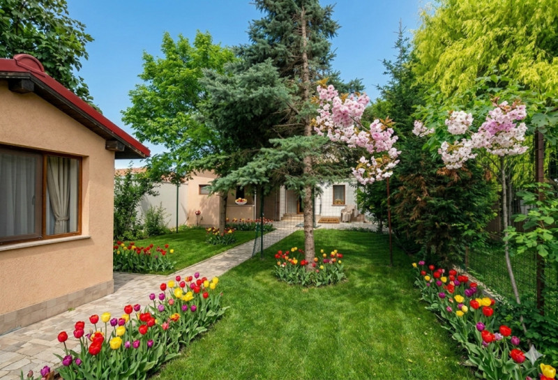 Exclusiv Vanzare Vila Ovidiu compartimentare inteligenta 