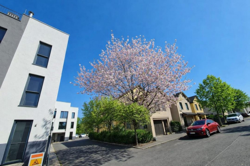 Vânzare vilă 5 camere direct dezvoltator P+2 + 3 terasă Tva inclus !!!