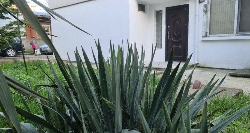 Apartament 3 camere Faleza Nord intrare separata