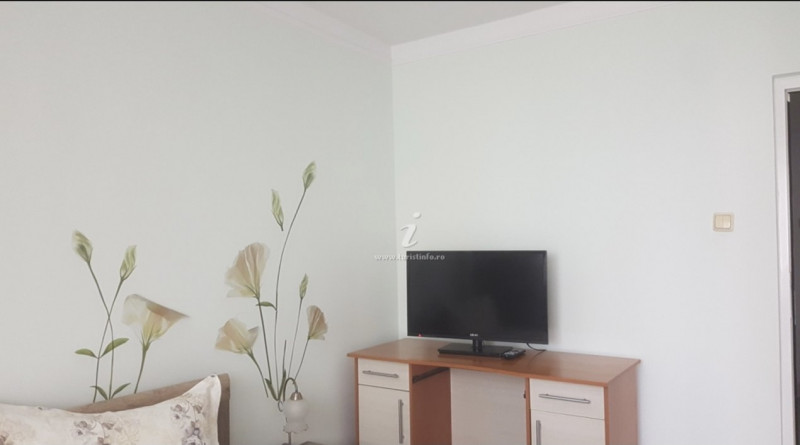 Ultracentral Apartament spatios Trandafirul extrasezon